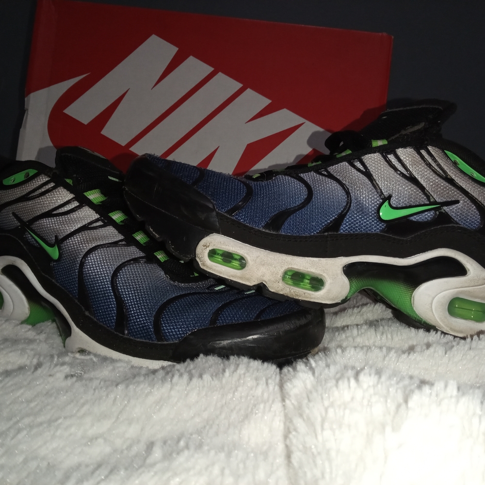 Nike Air Max Plus Sneakers - Black and Green